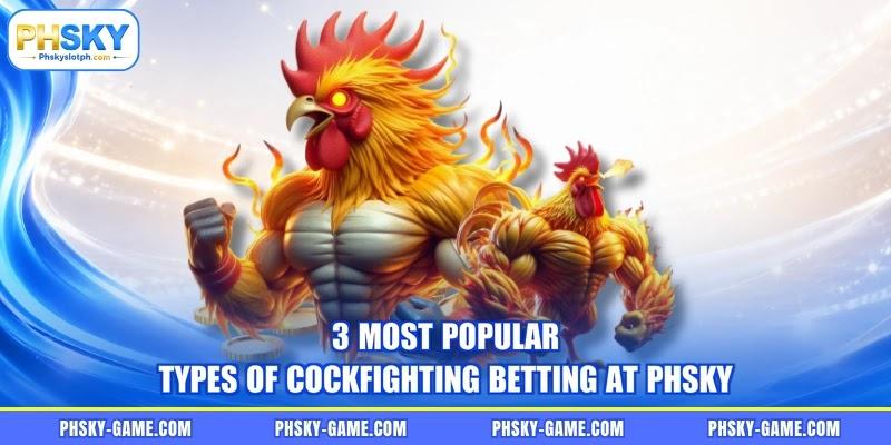 3 most popular types of cockfighting betting at PHSKY 3 most popular types of cockfighting betting at PHSKY