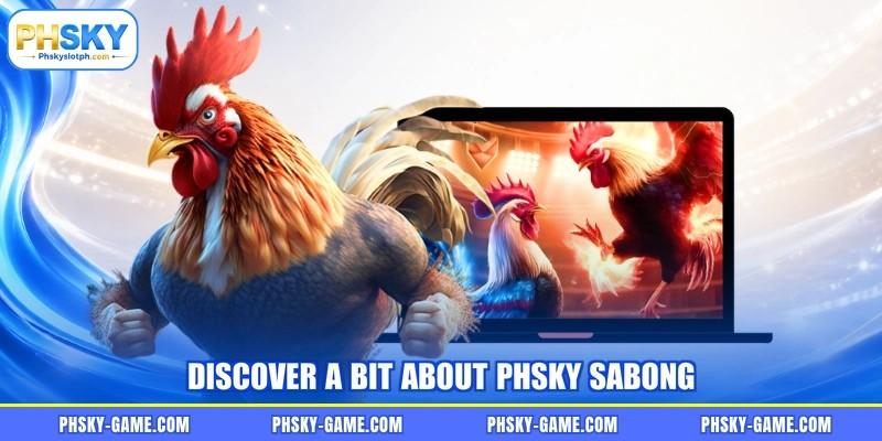 Discover a bit about PHSKY sabong Discover a bit about PHSKY sabong