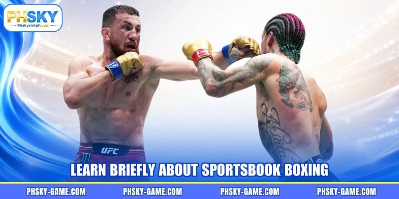 Learn briefly about sportsbook boxing