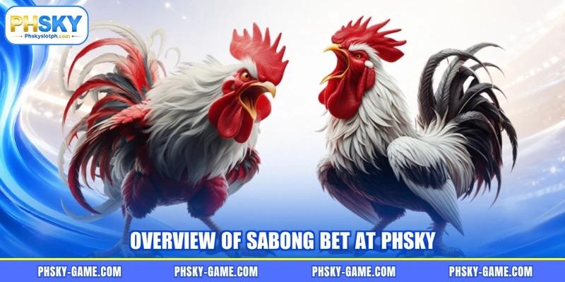 Overview of Sabong bet at PHSKY Overview of Sabong bet at PHSKY