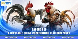 Sabong Bet - A Reputable Online Cockfighting Platform PHSKY