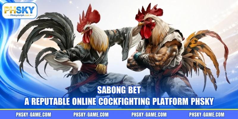 Sabong Bet - A Reputable Online Cockfighting Platform PHSKY
