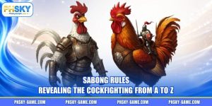 Sabong Rules - Revealing The Cockfighting From A To Z
